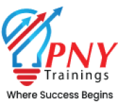 cropped-PNY-Logo_170-by-110-pixel_1-1.png